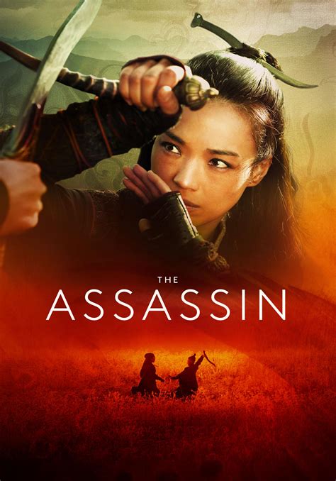 the assassin movie 2015